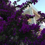 Lejla Διαμέρισμα Κόρτσουλα