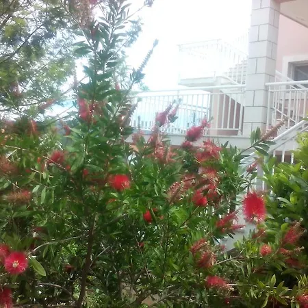 Lejla Korčula