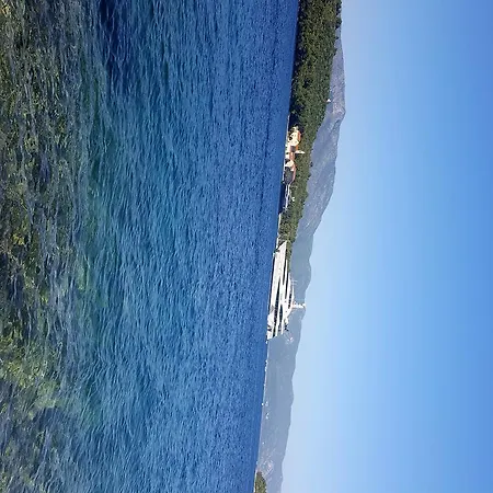 Lejla *