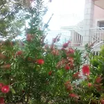Lejla Korčula